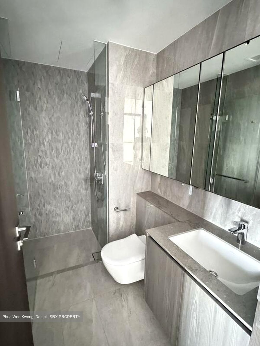 Piccadilly Grand (D8), Apartment #502122781